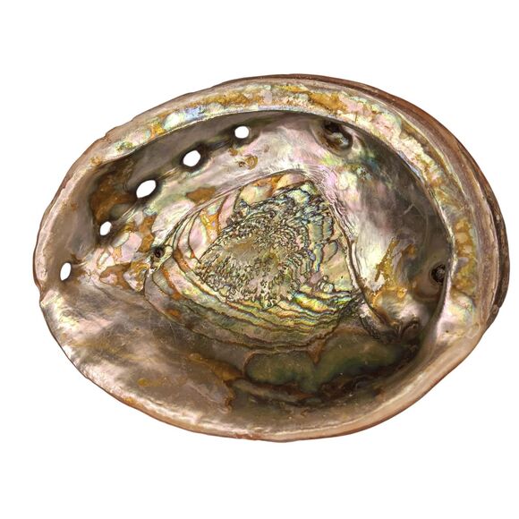 Vintage Large Abalone Shell Seashell Shiny Green Blue Yellow Pink Silver 8"x6" - Picture 1 of 12